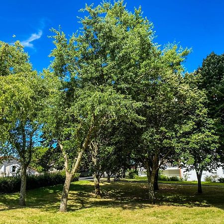 T3 Moderne Avec Balcon Terrasse Et Parking Gratuit Lägenhet Niort Exteriör bild